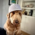 Johnny Downhill - @johnnydownhill - Instagram