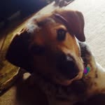 Johnny Eads - @johnny_eads - Instagram