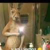 Johnny  escobar - @johnny.escobar48 - TikTok