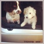 John Farrington - @john.j.farrington - Instagram