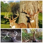 Johnny Ferrell - @johnnymferrell - Instagram