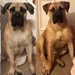 Johnny. Flint - @johnny._flint - Instagram