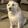 Johnny - @johnnyfortworth - TikTok