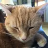 Johnny Funk - @johnny.funk - TikTok