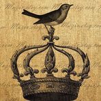 Johnny Gentry - Facebook