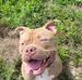Johnny Gilstrap - Facebook