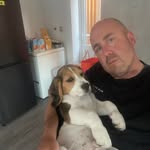 Johnny Goss - @johnnygoss9 - Instagram