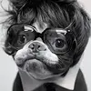 johnnygrigsbyswee - @johnnygrigsbyswee - TikTok