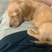 Johnny Guillory - Facebook