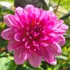 SexyTwin - @johnnyguillory7 - TikTok