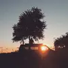 Johnny Haas - @kuestenhaasse - TikTok