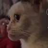 🙃Hailey🙃 - @johnny._.hailey - TikTok