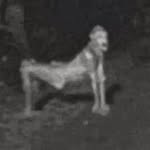 @johnny___hammersticks - Instagram