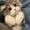 John Hanley - @john.hanley6 - TikTok