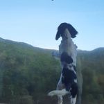 Johnny - @_johnny_hannah_ - Instagram