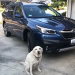 Johnny Harrington - @subyjohnny - Instagram