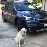 Johnny Harrington - @johnnysubyambas - Instagram