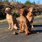 John Harrold - @john.harrold.94 - Instagram