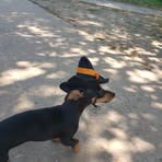 Johnny Hartman - Facebook