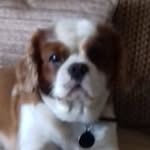 John Hawley - @john.hawley.7792 - Instagram