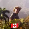 Johnny Hawley616 - @johnnyturnipseed000 - TikTok