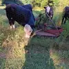 Johnny Herrington - @johnny.herrington1 - TikTok