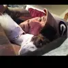 johnnyherrington77 - @johnnyherrington77 - TikTok
