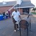 Johnnie T Holiday - Facebook