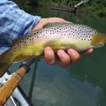 John Holston - @john.holston.319 - Instagram