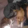 Johnny Houts - @johnny.houts - TikTok