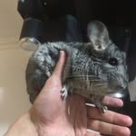 johnnyjiang - @johnnyhua - Instagram