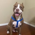 Johnny Huerta - @johnnyhuerta33_ - Instagram