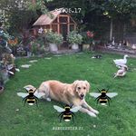 Johnny Hummel - @jdhummel2023 - Instagram