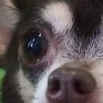 Johnny Hurley - @johnny.hurley.90 - Instagram