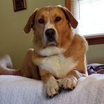 Johnny Hurst - @johnnychurst - Instagram