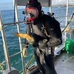 John - @johnny_ivory7 - Instagram