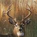 Johnny Knott - Facebook