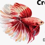 Johnny knott - @creative_tank_concepts - Instagram