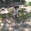 john.knowles - @john.knowles - TikTok