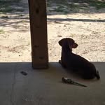 John Landrum - @john.landrum.330 - Instagram