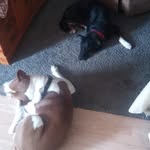 John Landrum - @landrum3471 - Instagram