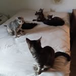 Johnny Layne - @jl3559355993 - Instagram