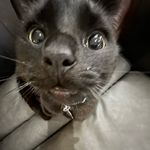 John Layton - @johnlaytoncool - Instagram