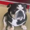 Johnny Layton - @johnny.layton - TikTok