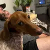 joleayjz3t4 - @johnny.oleary3 - TikTok