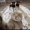 johnnylindsay_ - @johnnylindsay_ - TikTok