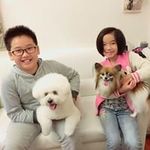Johnny Lui - @johnny_lui - Instagram