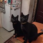 Johnny & Marcus - @valar_meowulis - Instagram
