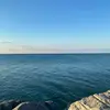Johnny Marcus339 - @johnnymarcus6 - TikTok