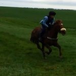 Johnny Marsh - @johnnymarsh2000 - Instagram